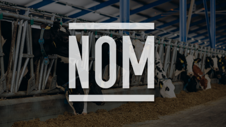 Normas Oficiales Mexicanas (NOMs) Ganaderas – Impacto